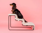 Pet Stairs product image 9