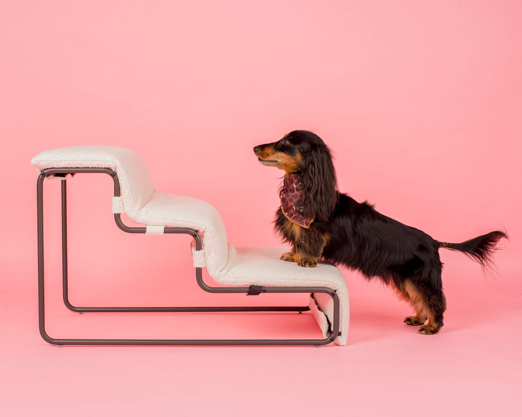 Pet Stairs product image 10