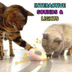 Interactive Cat Toy product image 4