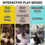 Interactive Cat Toy product image 5