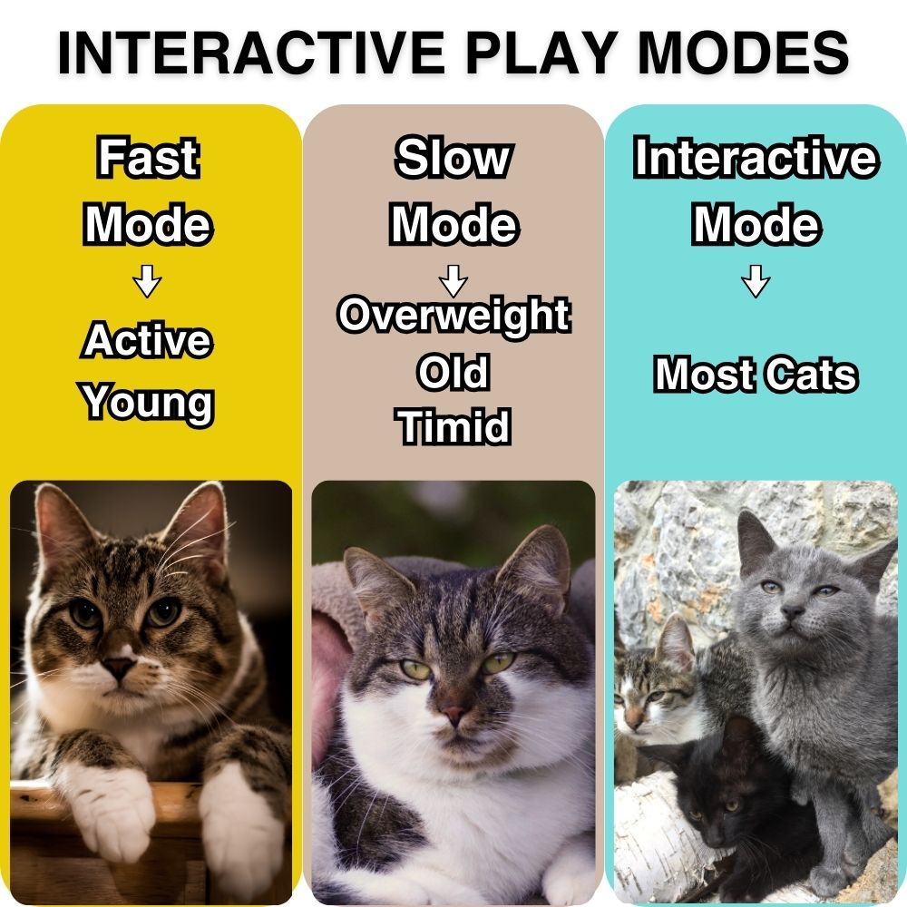 Interactive Cat Toy product image 5