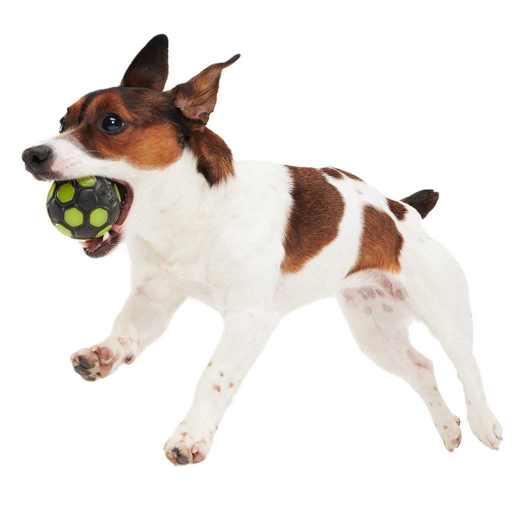 Glow-in-the-Dark Treat-Dispensing Dog Ball product image 2