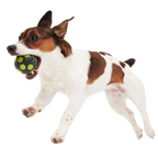 Glow-in-the-Dark Treat-Dispensing Dog Ball product image 2