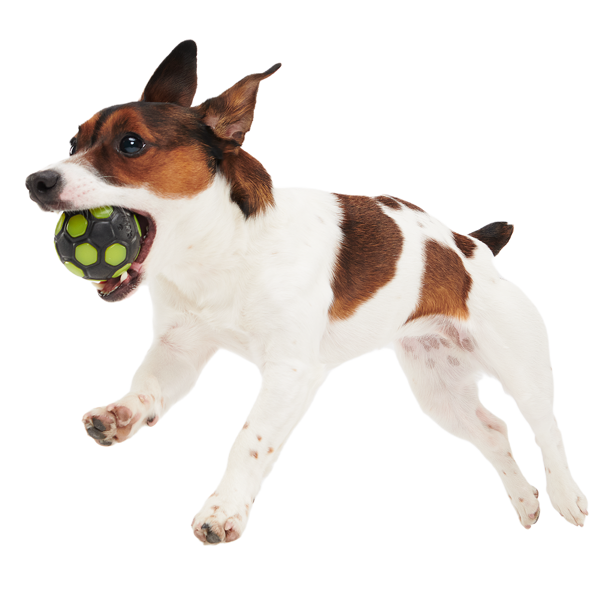 Glow-in-the-Dark Treat-Dispensing Dog Ball product image 2