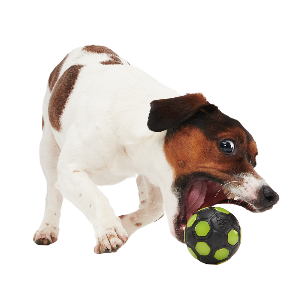 Glow-in-the-Dark Treat-Dispensing Dog Ball product image 3