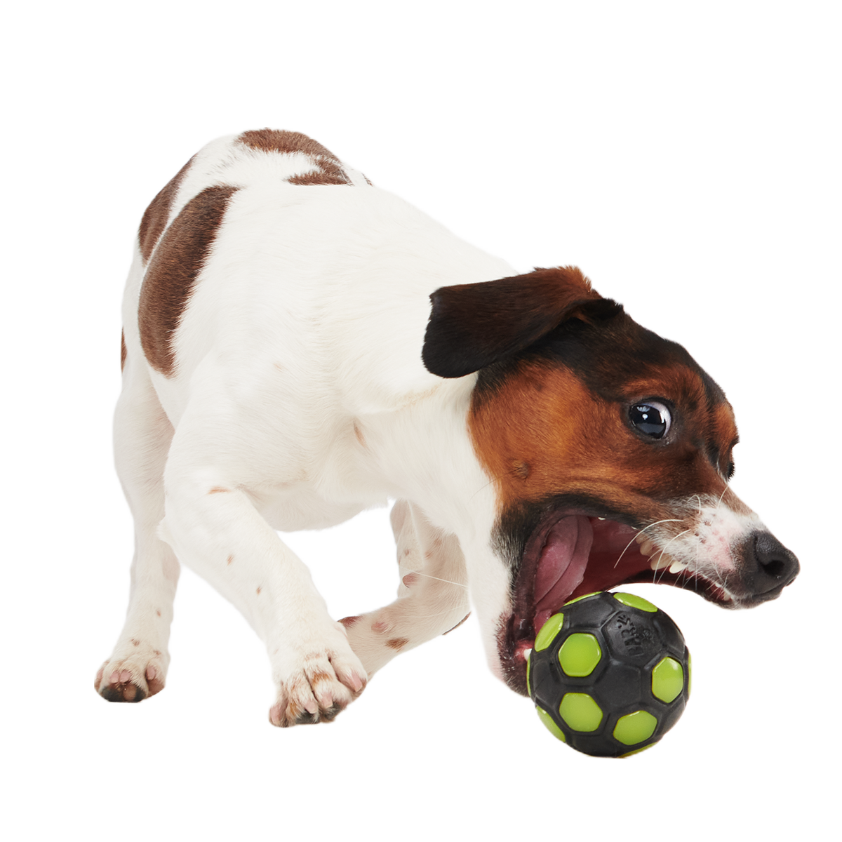 Glow-in-the-Dark Treat-Dispensing Dog Ball product image 3