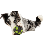 Glow-in-the-Dark Treat-Dispensing Dog Ball product image 4