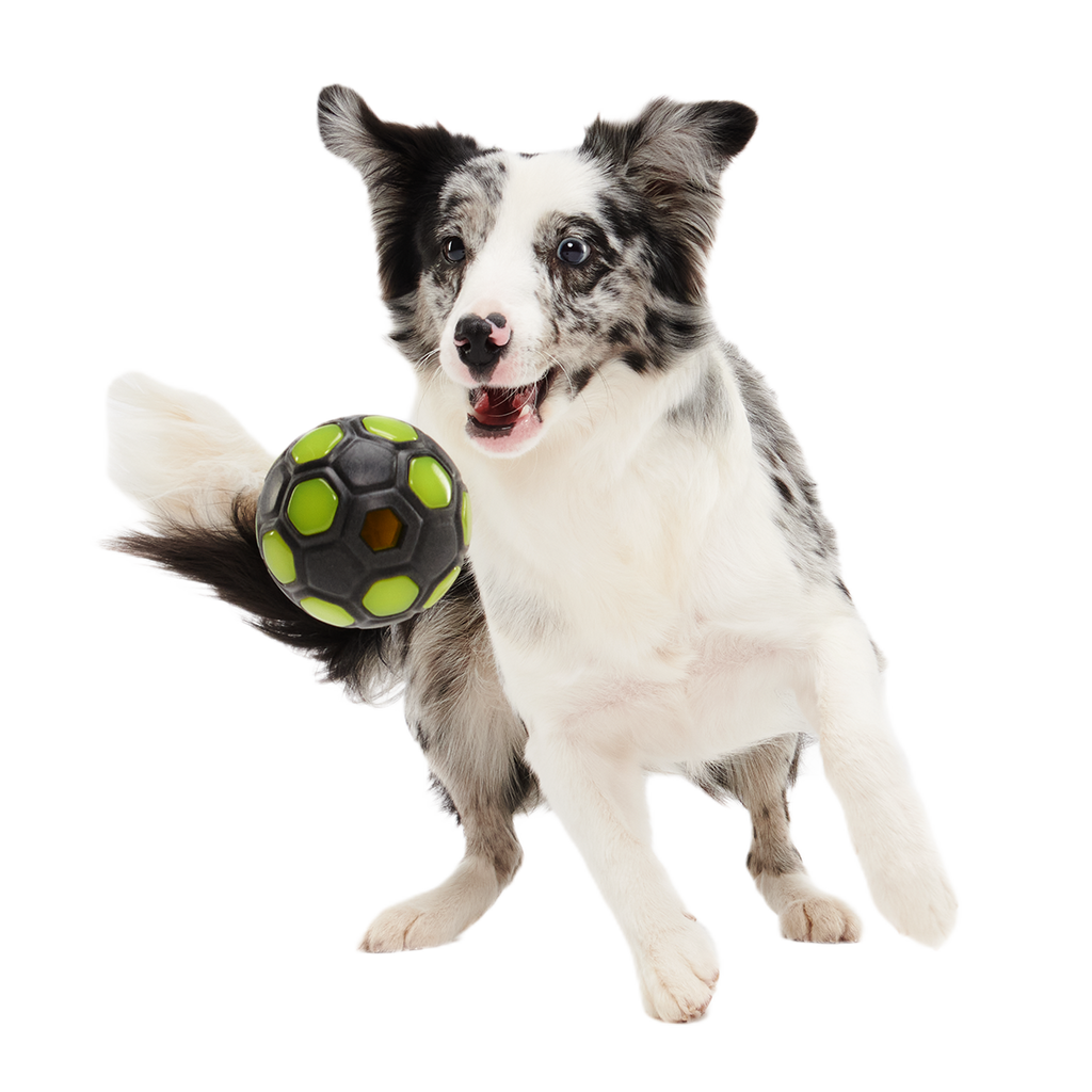Glow-in-the-Dark Treat-Dispensing Dog Ball product image 5