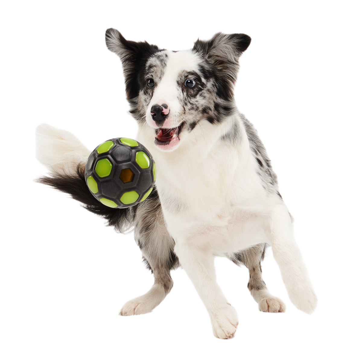Glow-in-the-Dark Treat-Dispensing Dog Ball product image 5