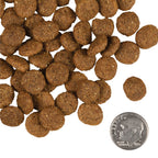 Dry Dog Food product image 2