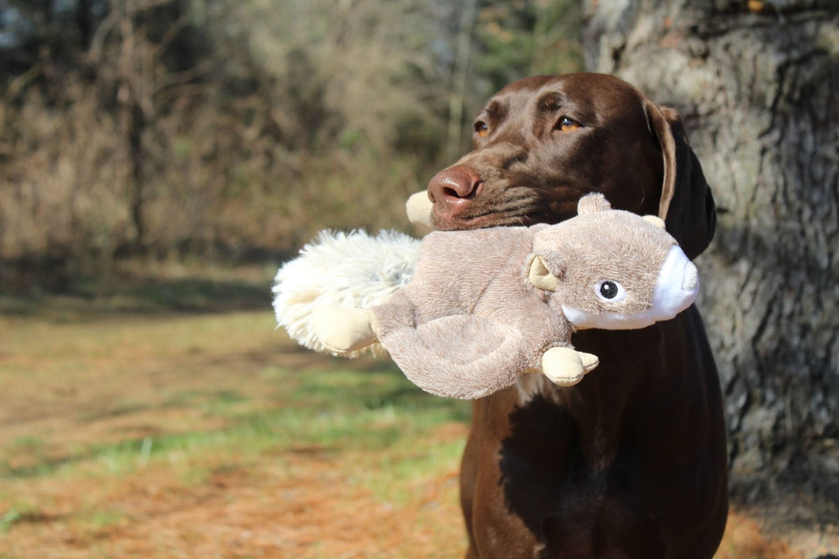 Plush Dog Toy product image 1