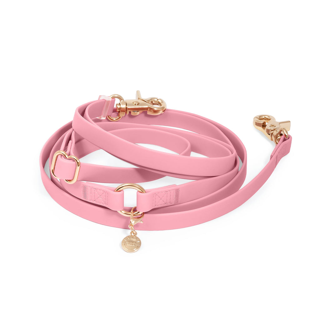 Dog Leashes product image 1