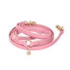 Dog Leashes product image 1