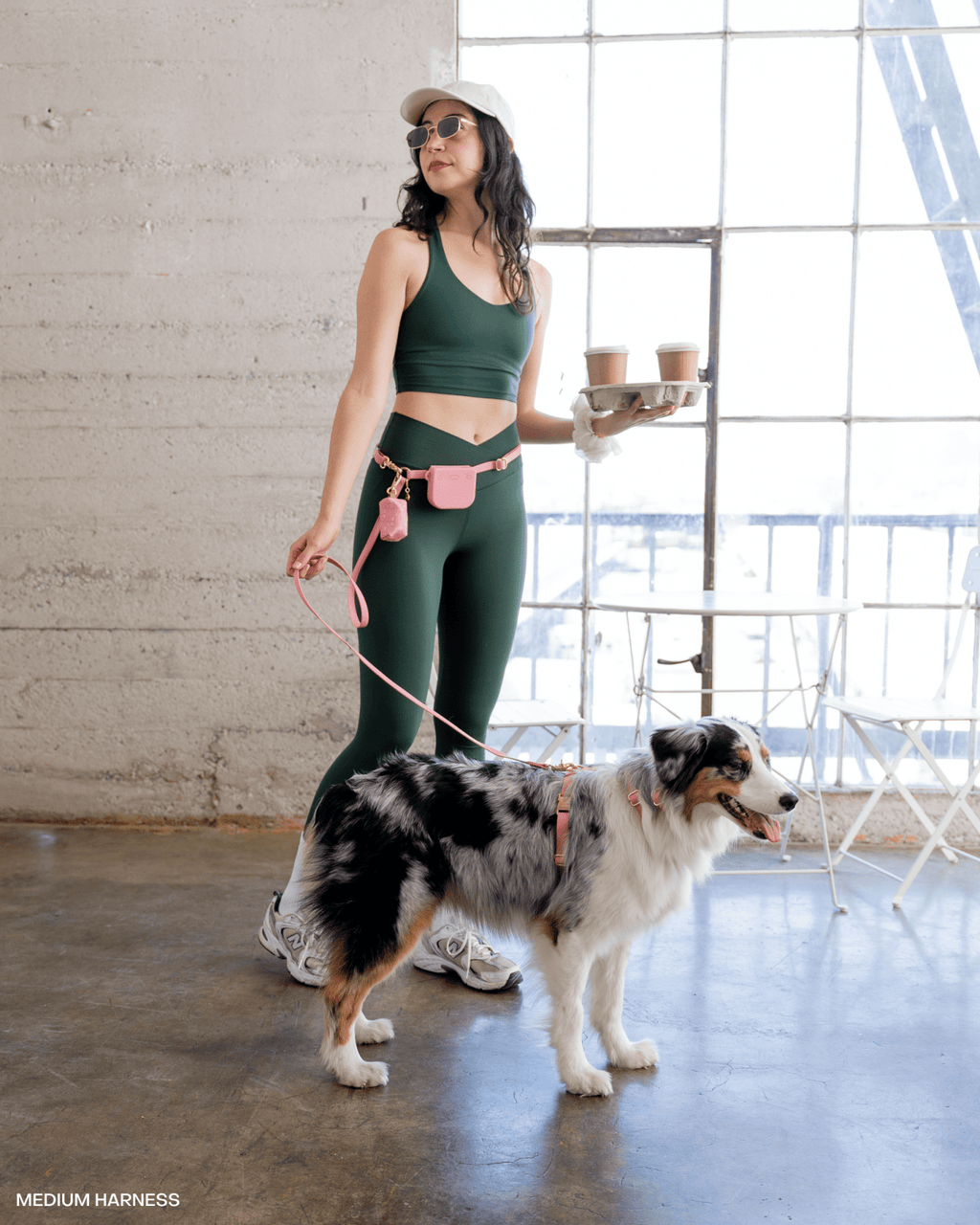 Dog Leashes product image 2