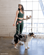 Dog Leashes product image 2