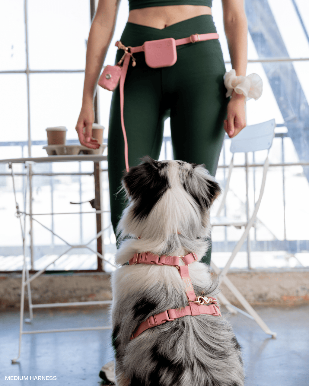 Dog Leashes product image 8