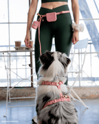 Dog Leashes product image 8