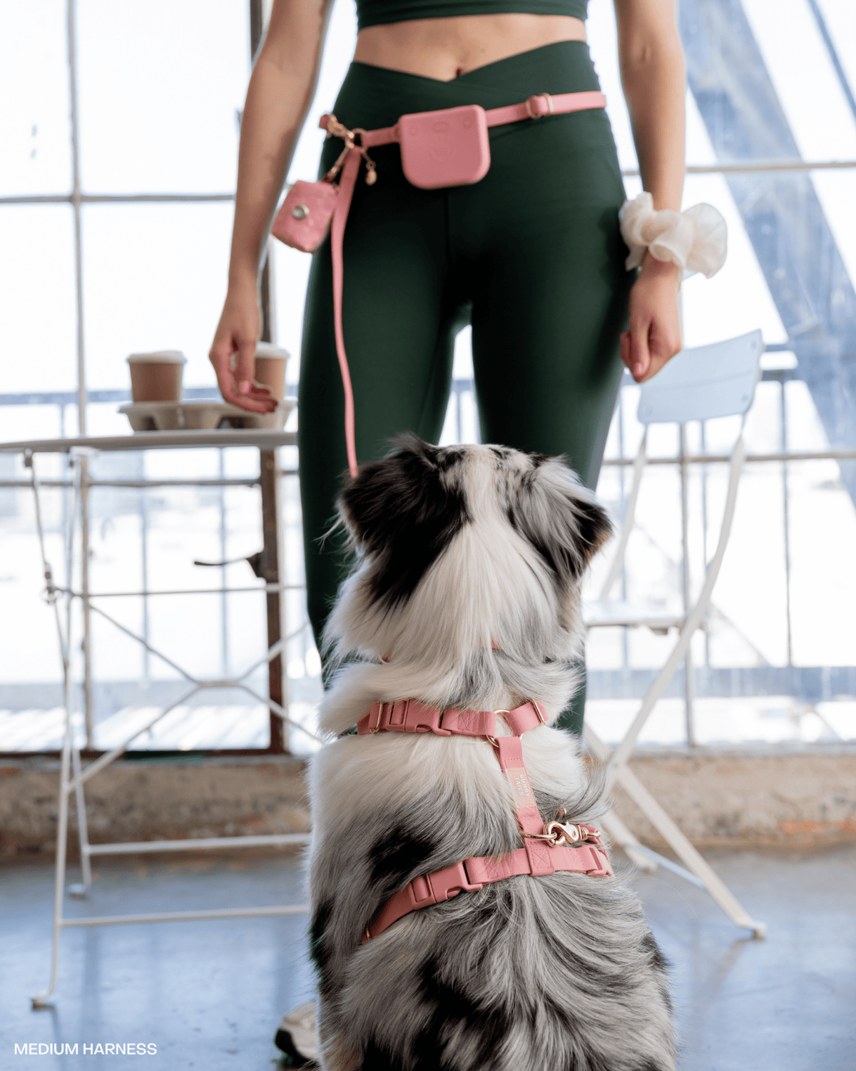 Dog Leashes product image 8