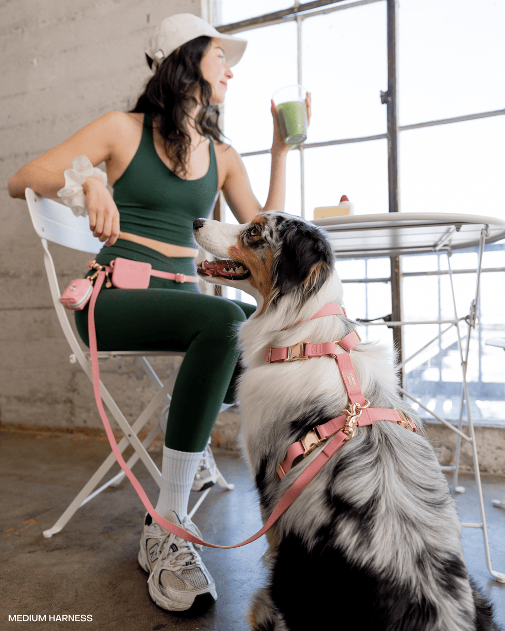 Dog Leashes product image 9