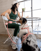 Dog Leashes product image 9