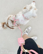 Dog Leashes product image 10