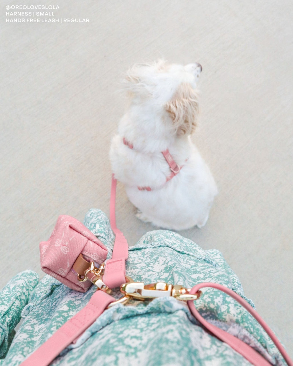 Dog Leashes product image 11