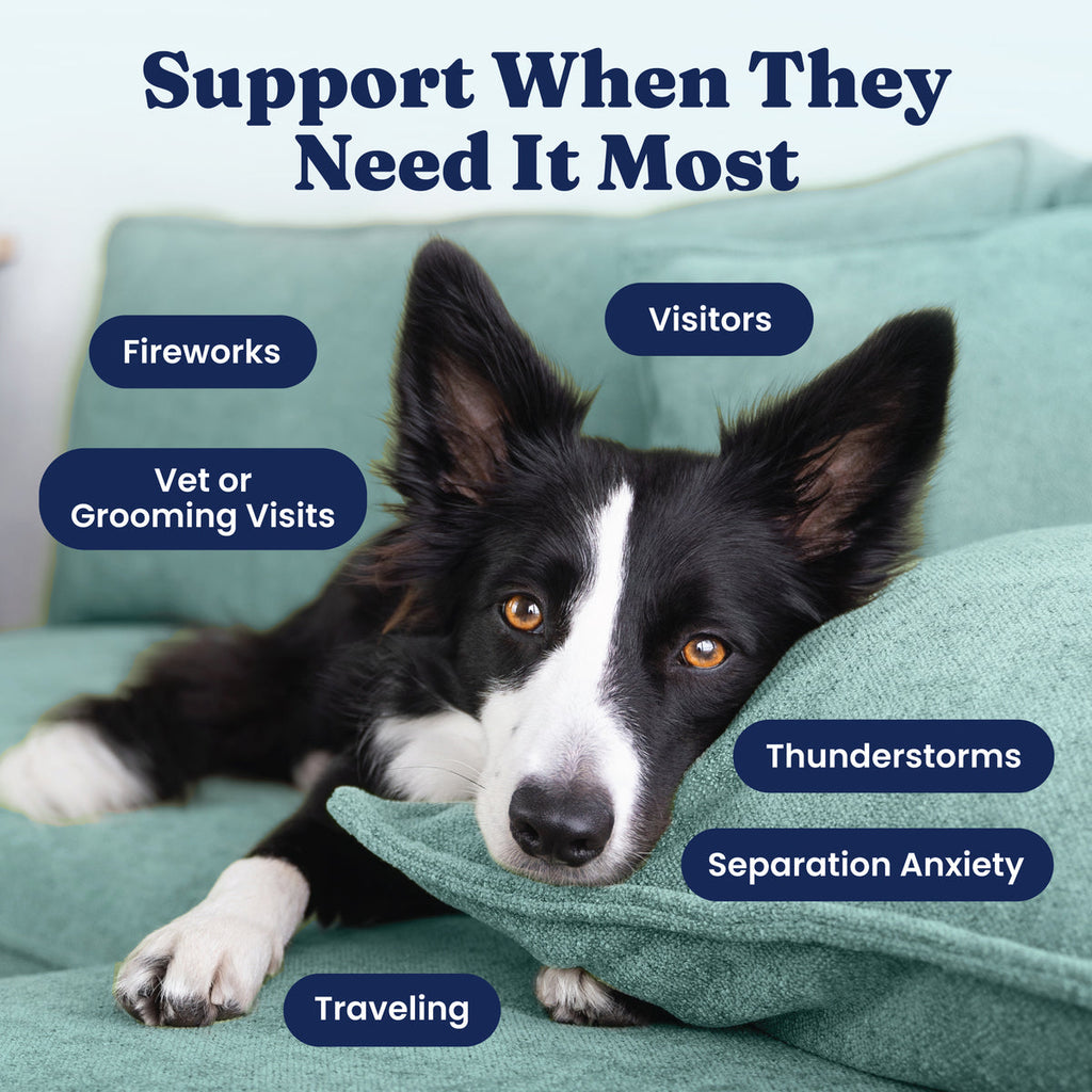 Dog Calming Chews product image 3