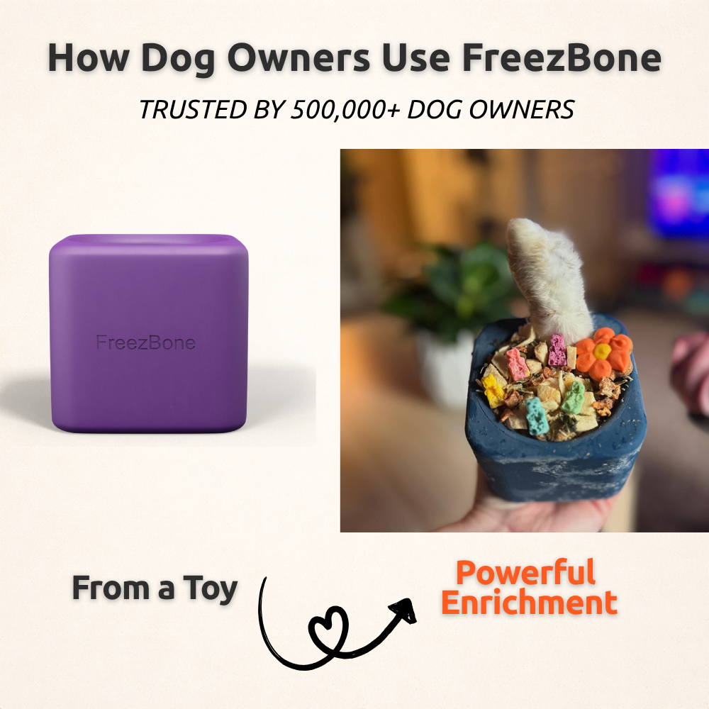 Refillable Natural Rubber Dog Treat Toy product image 7
