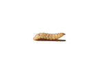 Live Feeder Insects product image 1
