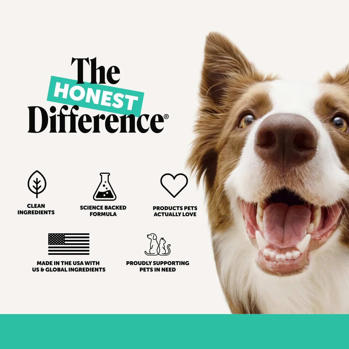 Fresh Breath Dental Powder for Dogs (30 servings) product image 8