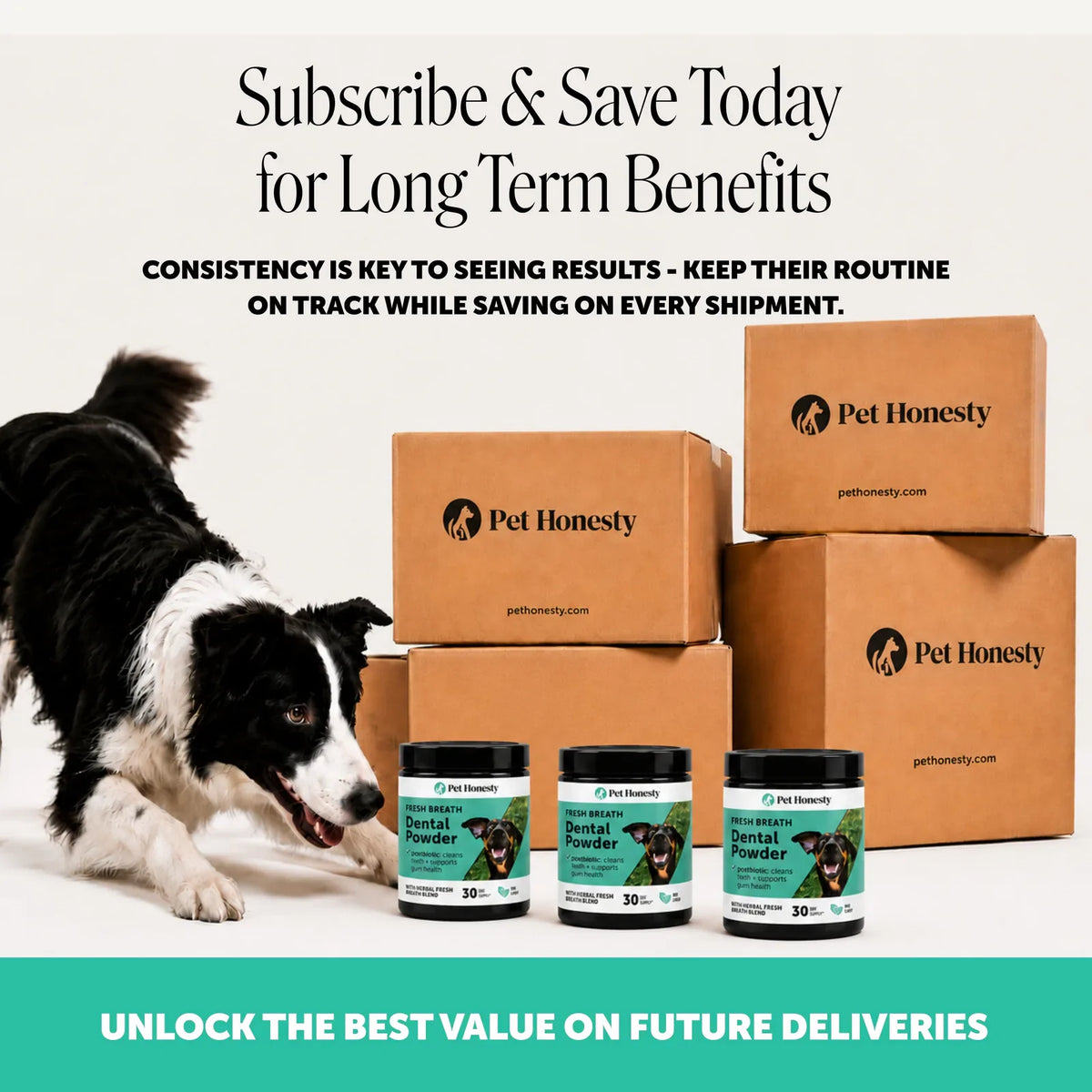 Fresh Breath Dental Powder for Dogs (30 servings) product image 9