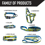 Dog Collar product image 5