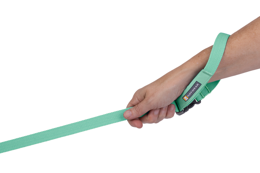 Hands-Free Dog Leash product image 33
