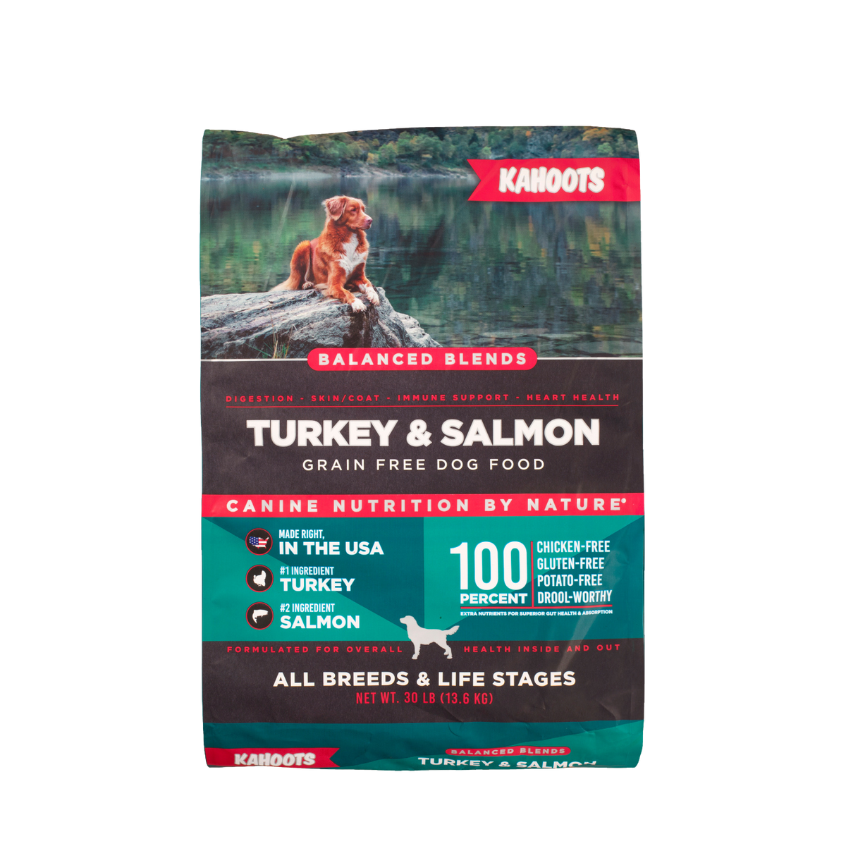 Dog Food product image 1