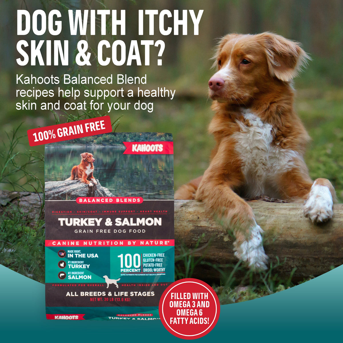Dog Food product image 2