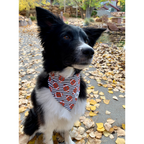 Dog Bandana product image 3
