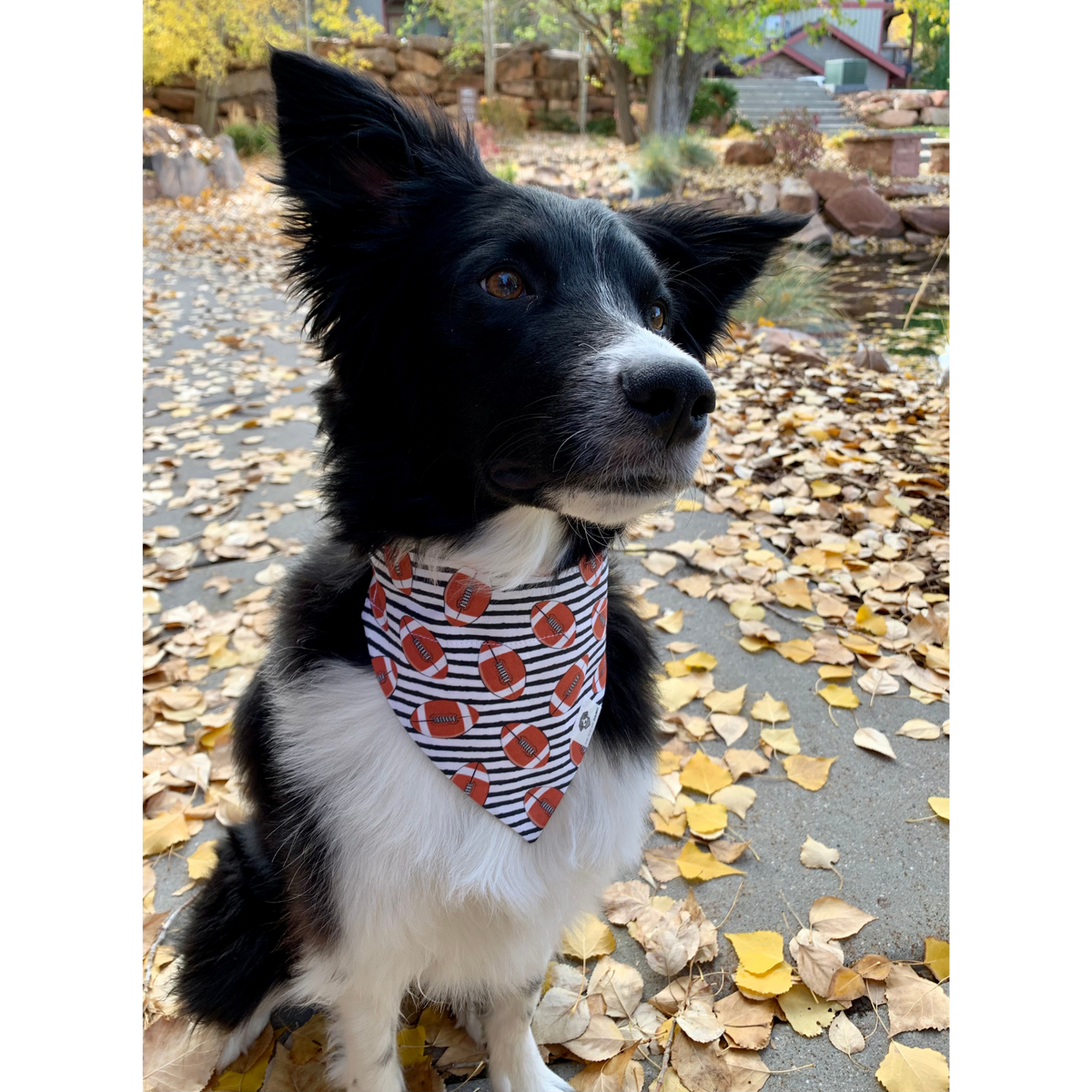 Dog Bandana product image 3