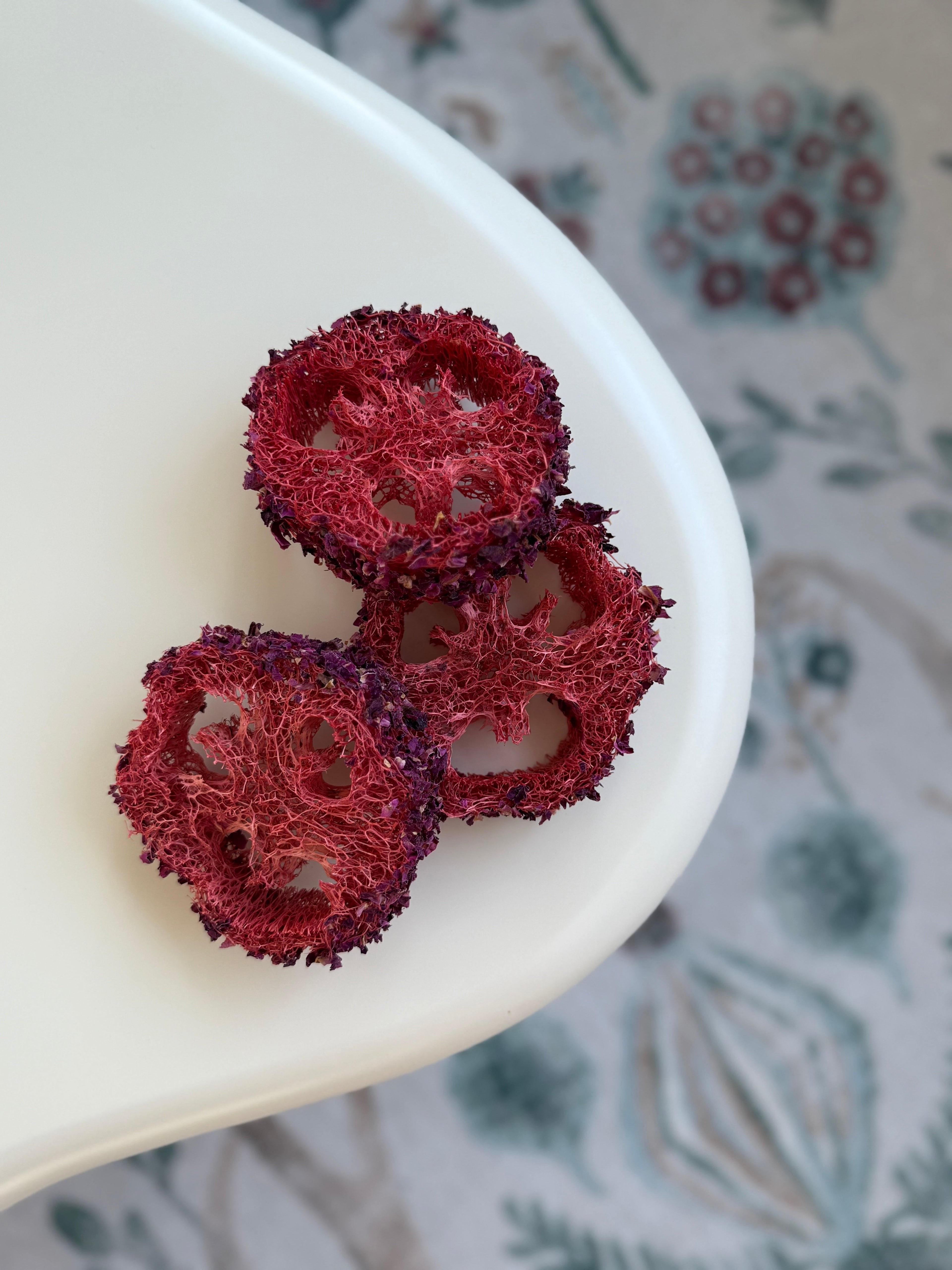 Flavored Natural Loofah Chews for Small Pets product image 1