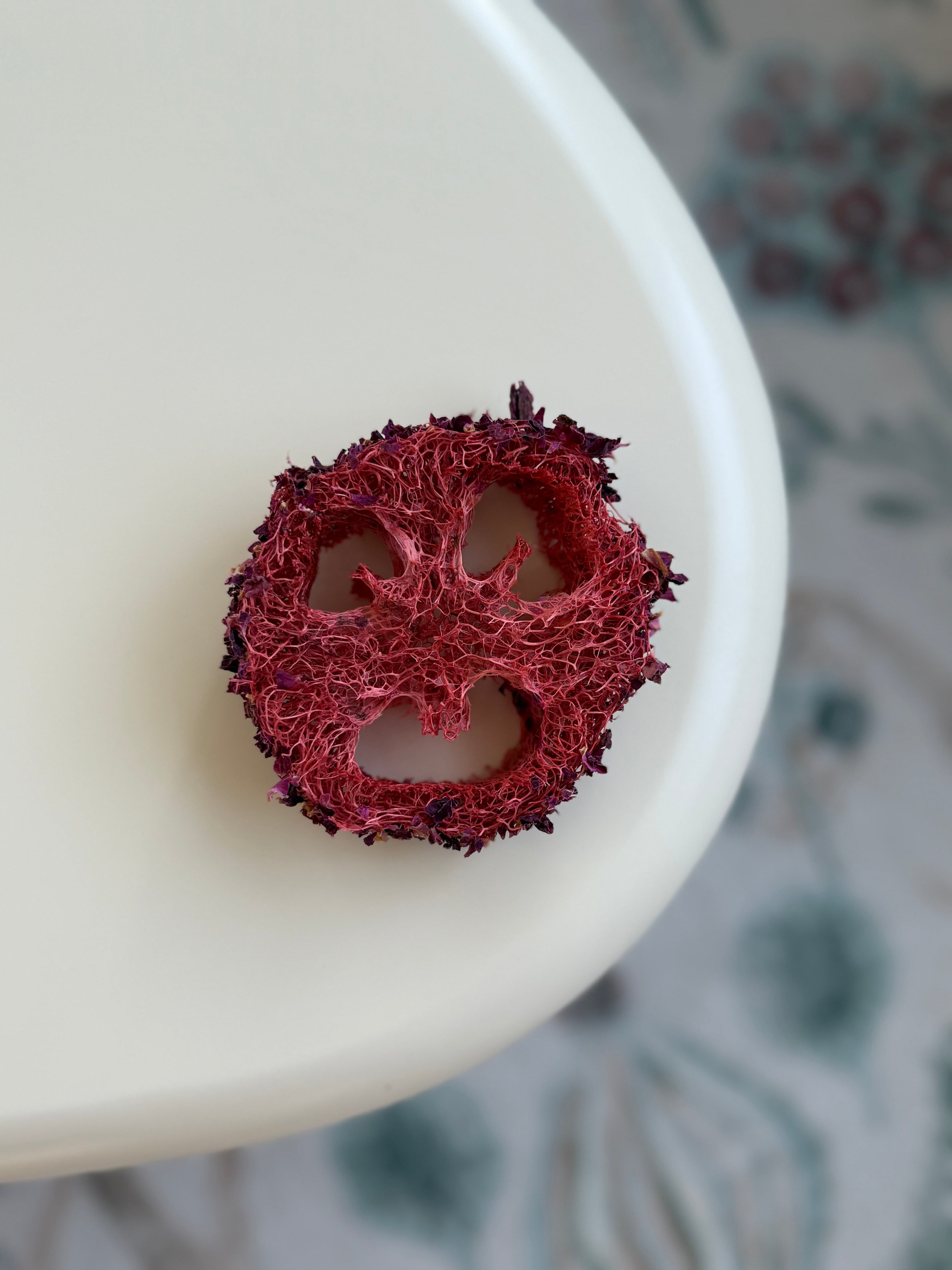 Flavored Natural Loofah Chews for Small Pets product image 2