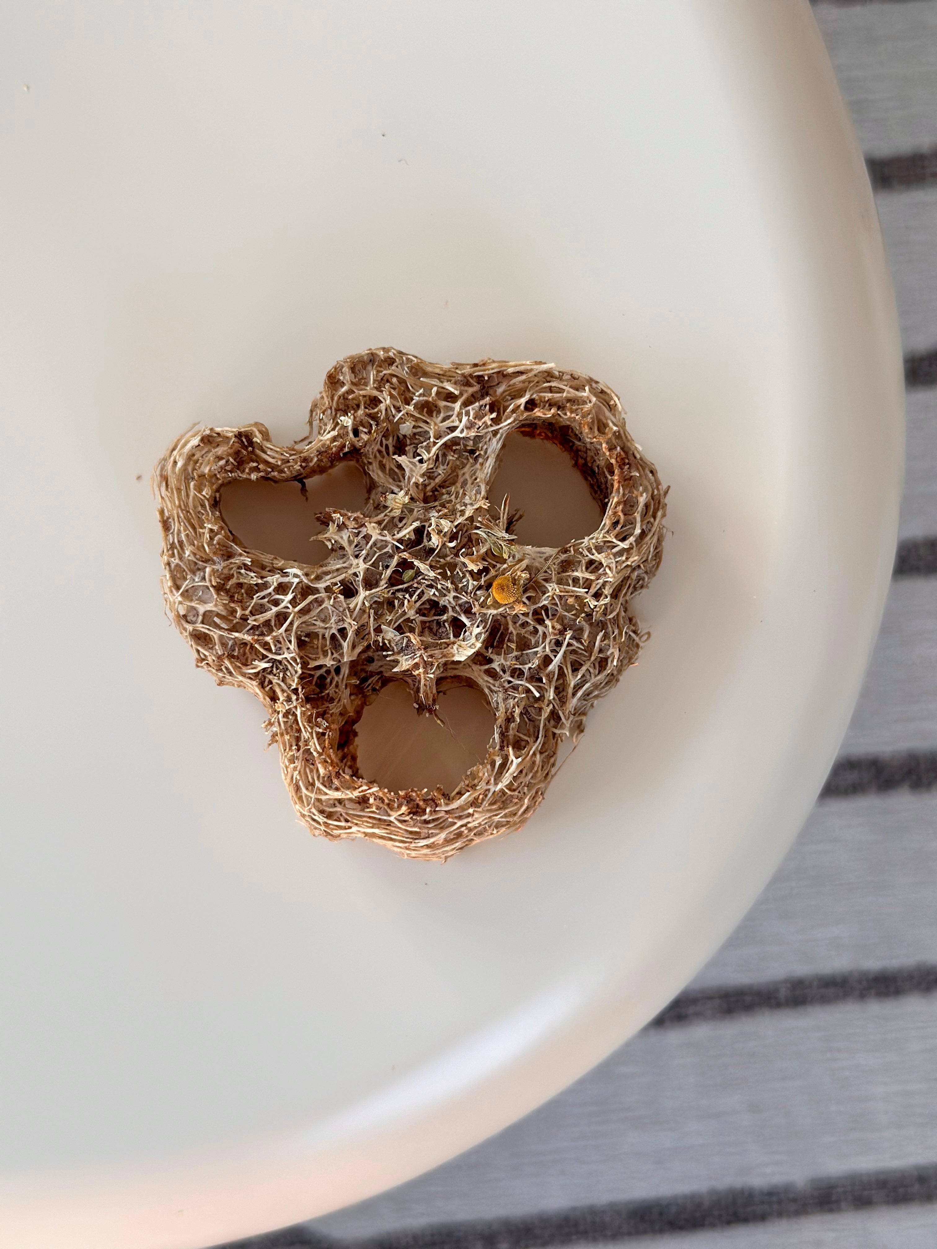 Flavored Natural Loofah Chews for Small Pets product image 4