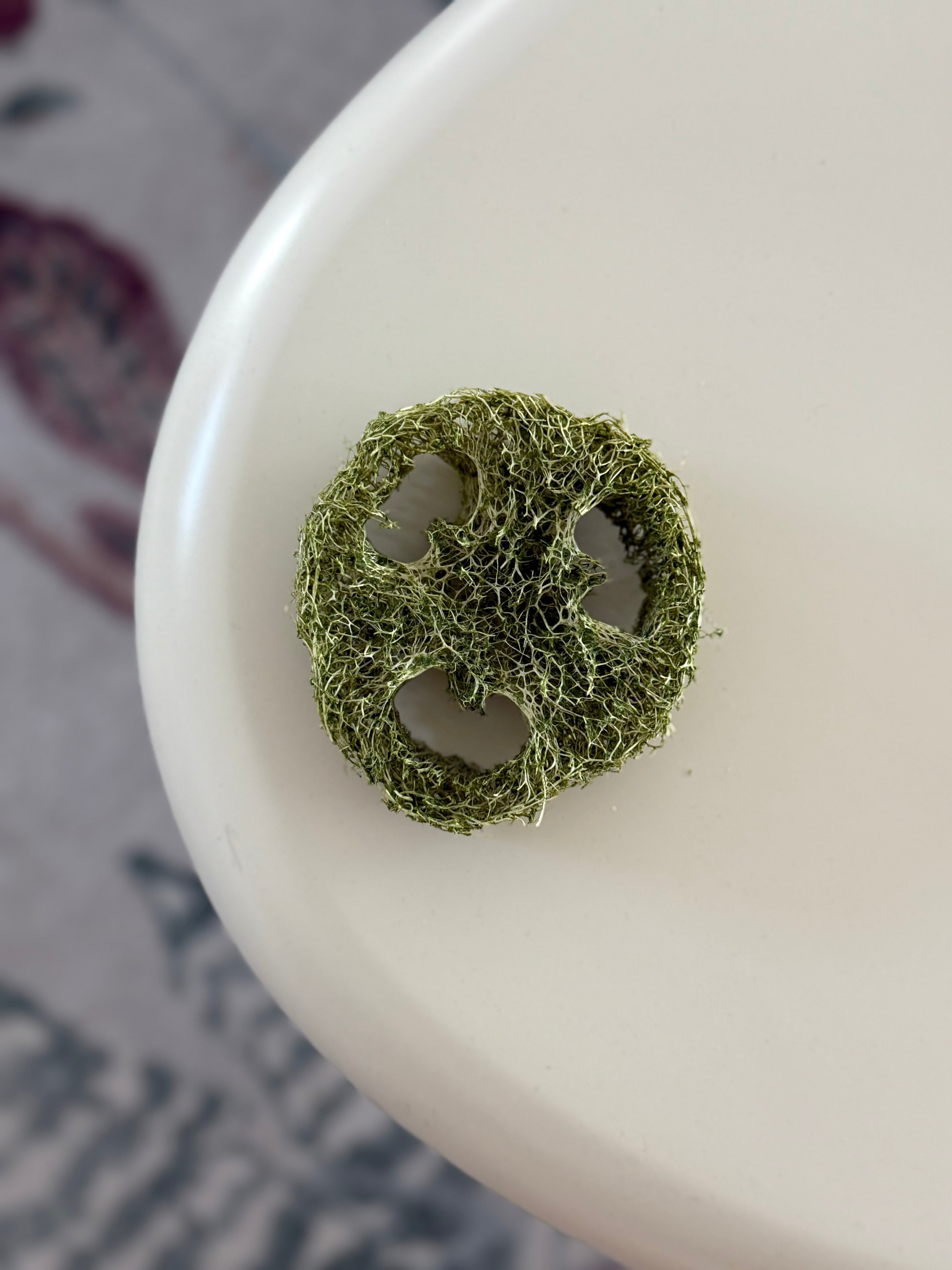 Flavored Natural Loofah Chews for Small Pets product image 5