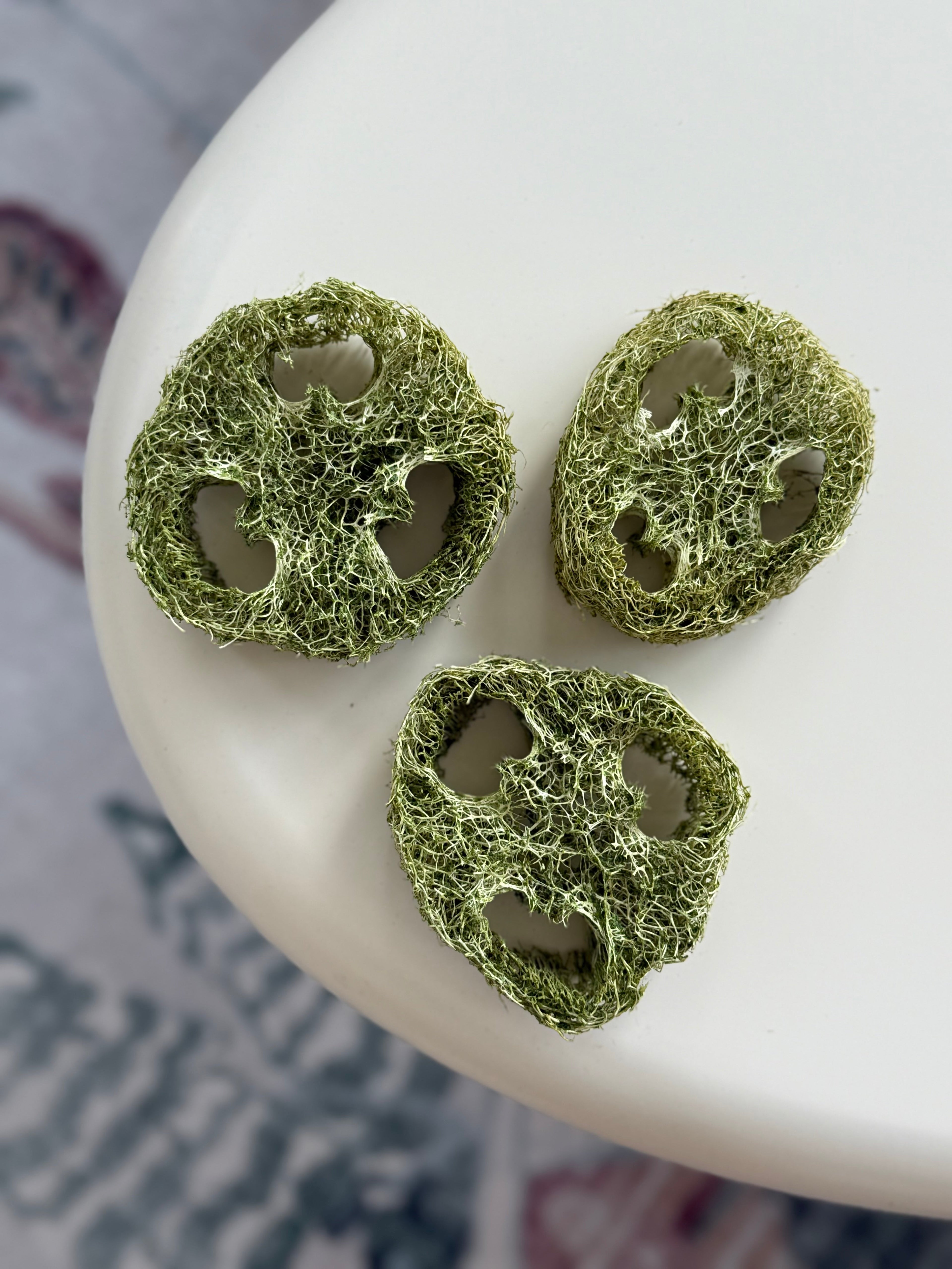 Flavored Natural Loofah Chews for Small Pets product image 6