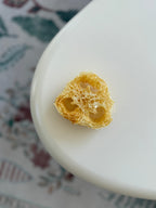 Flavored Natural Loofah Chews for Small Pets product image 8