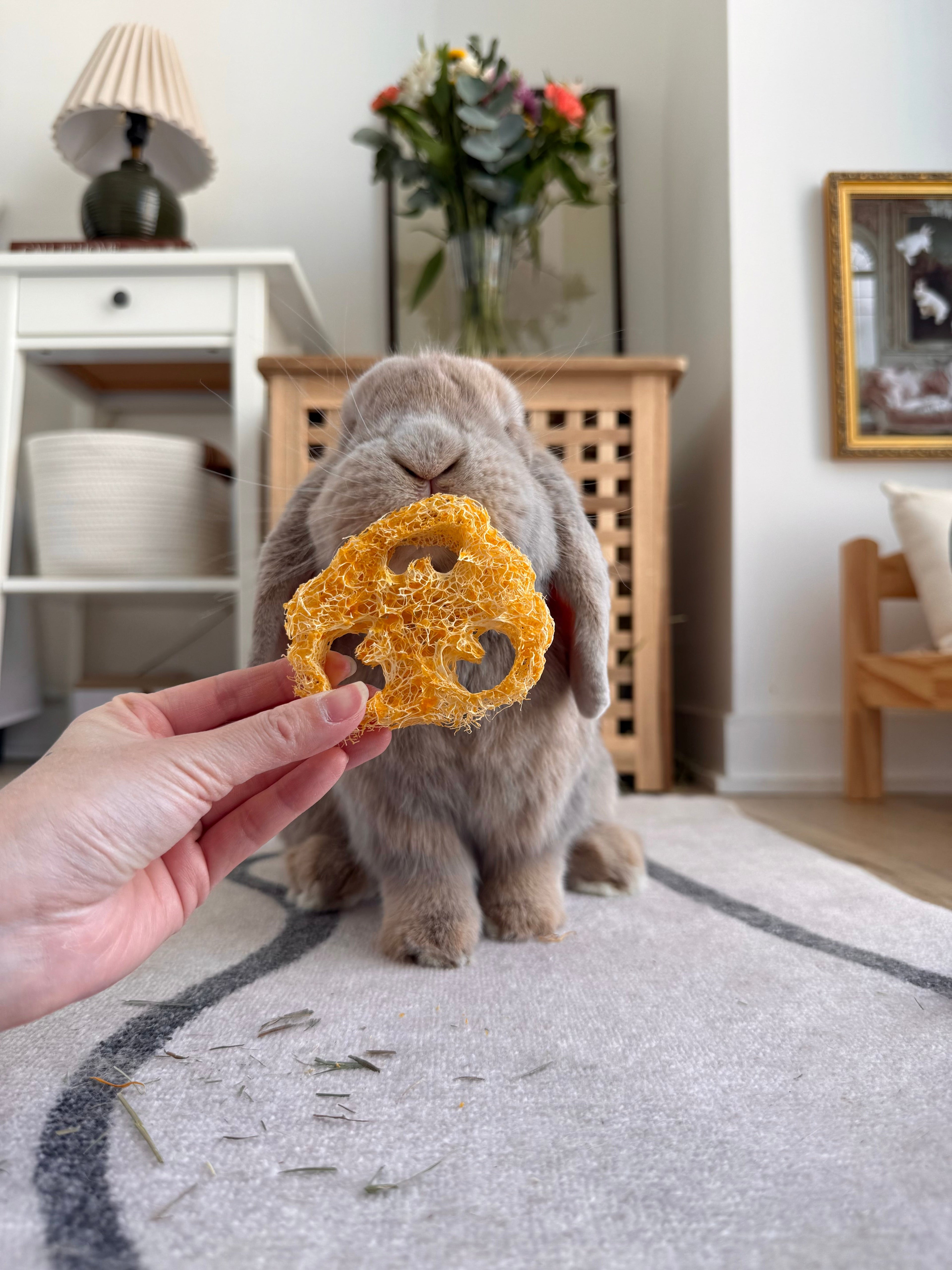 Flavored Natural Loofah Chews for Small Pets product image 10
