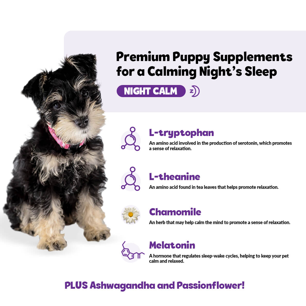 Puppy Calming Night Supplement product image 2