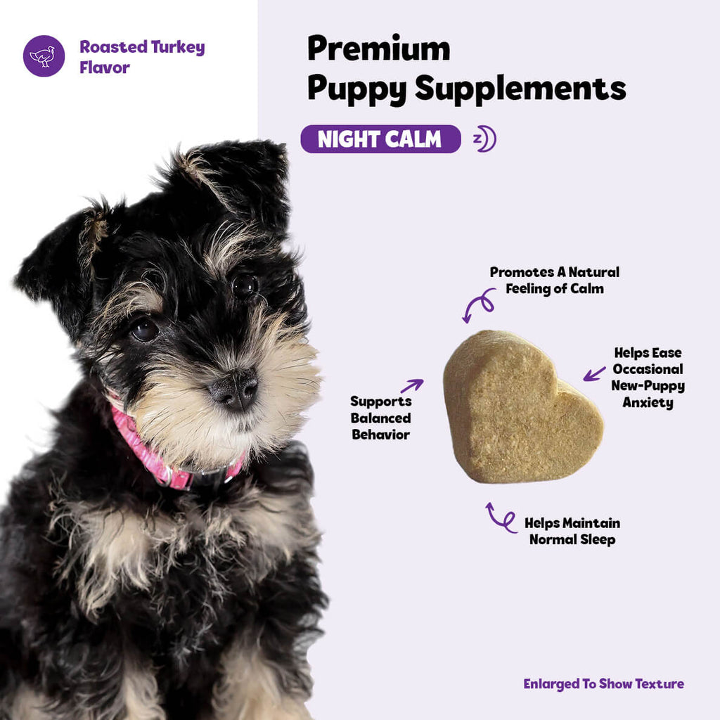 Puppy Calming Night Supplement product image 5