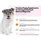 Puppy Gut Health Supplement product image 2