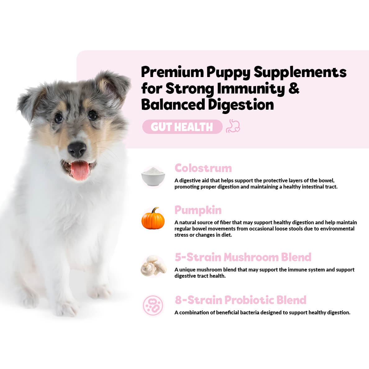 Puppy Gut Health Supplement product image 2