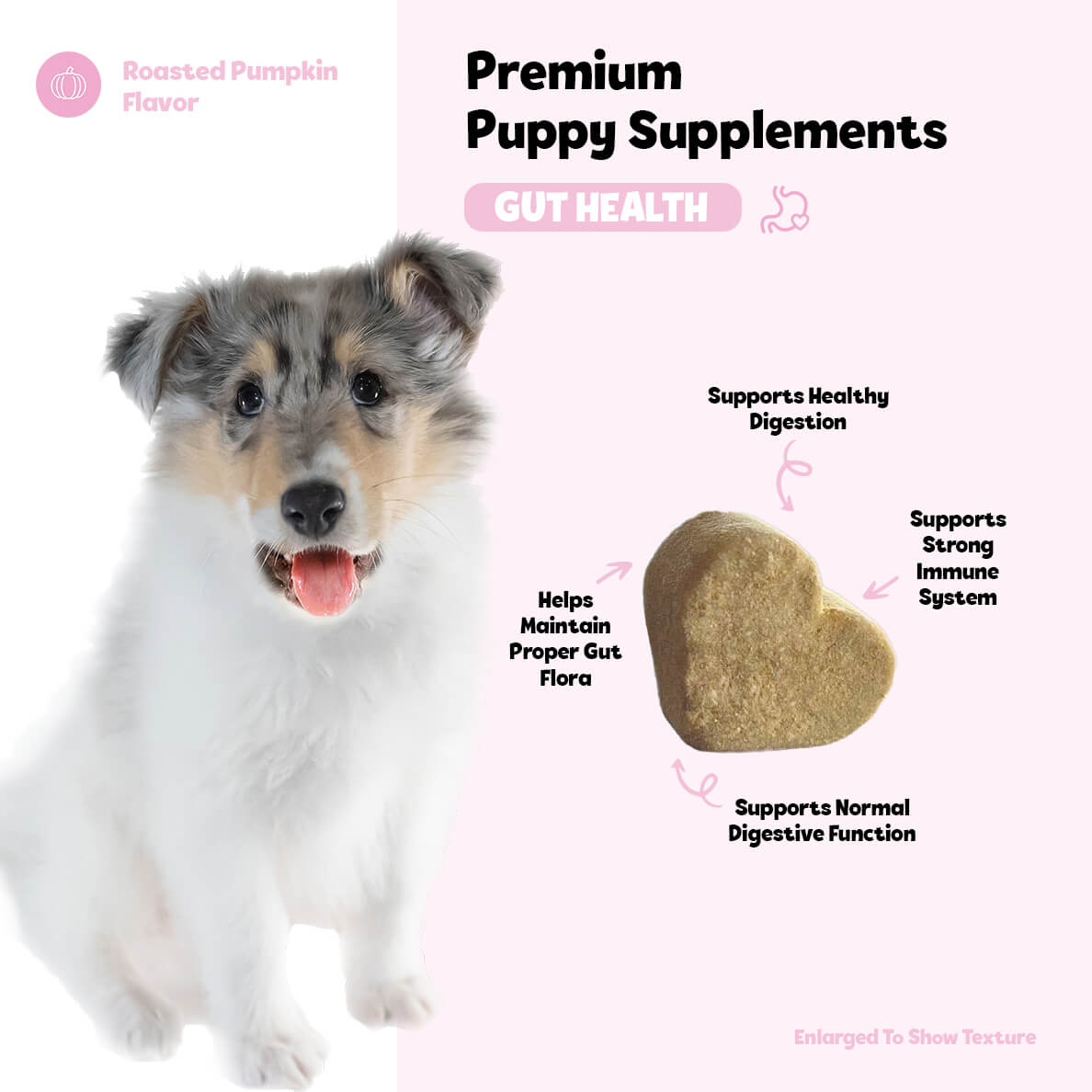 Puppy Gut Health Supplement product image 5