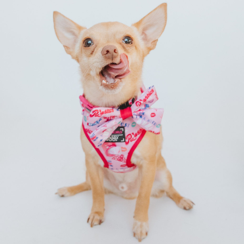Adjustable Dog Harness product image 6